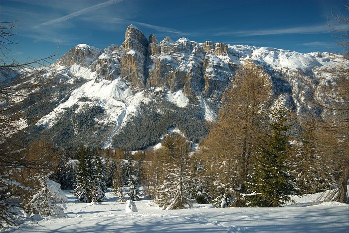 Winter Beauty