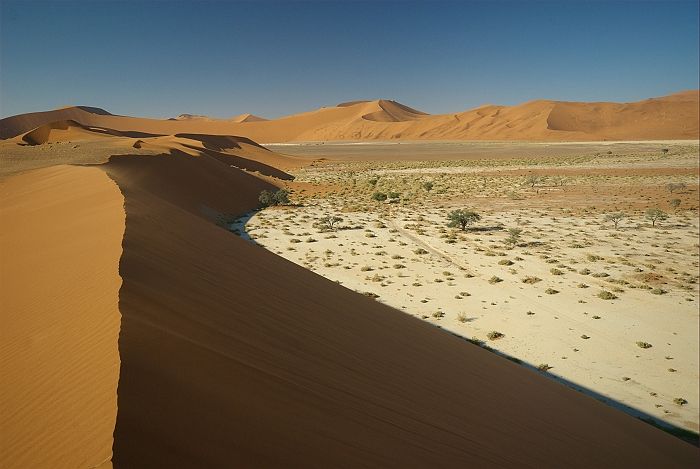 Morning in the Namib
