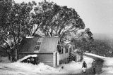 Mount Buller 1