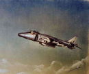 Harrier
