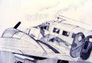 Opmas Beech 18