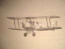 Compton's Moth