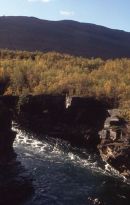 The canyon