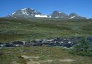North Sytertopp