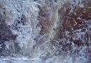 Abstract