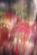 Flowerscape
