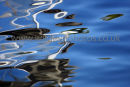 Speed Boat Reflections