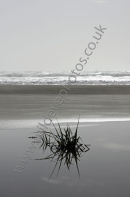Long Beach Reflection