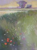 Butterflies by the river.
