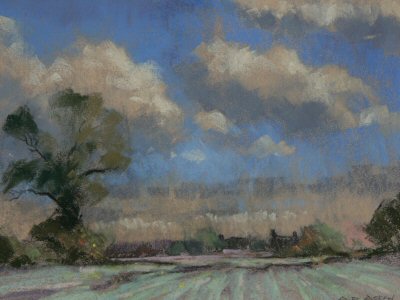 Village fields,Norfolk.