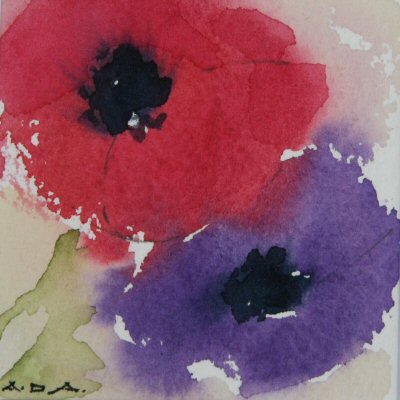 Anemones.