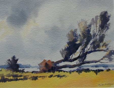 Fallen Willow.
