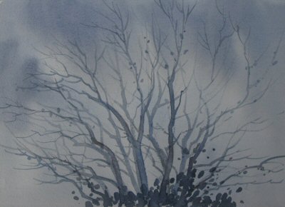 Winter Grace