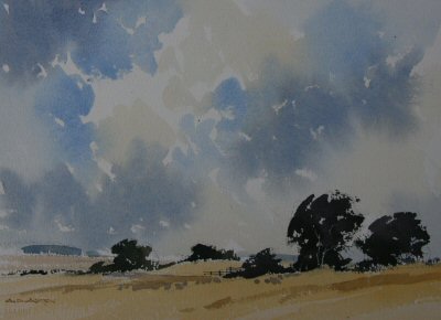 Peaceful fields