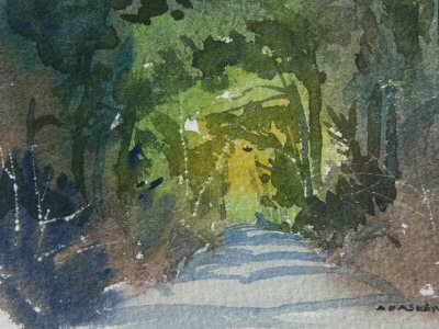 Walk in the woods.