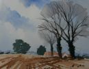 Ploughed Fields.