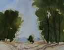 Midsummer Shadows