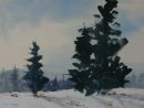 Winter Afternoon