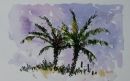 Palms