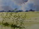 Reed Beds 1