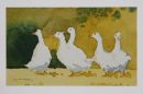Ducks.