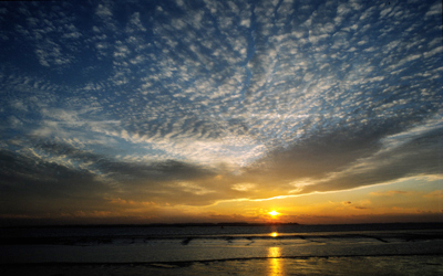 Mackerel Sky