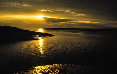 Golden Light
