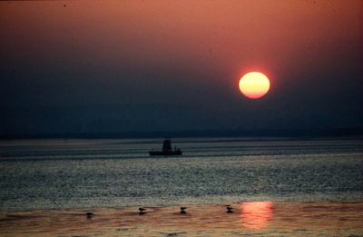 Sand Bar 