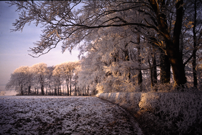 Crackling of Frost