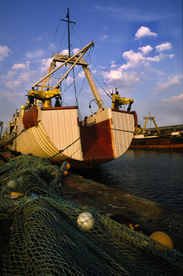 Fish Docks, Hull