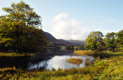 Tranquil Rydal