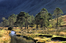 Under Haystacks