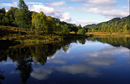 River Reflection
