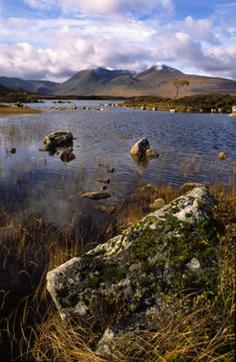 Lochans on Rannoch Moor