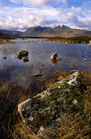 Lochans on Rannoch Moor