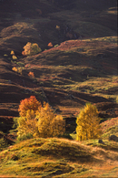 Autumn in Glen Dochart