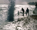 Braving the Waves