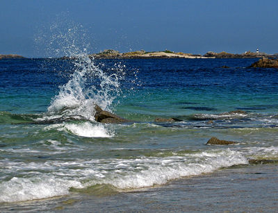 Wave at Alderney Point