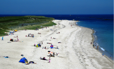 Shell Beach looking Busy