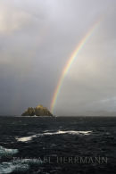 Regenbogen trifft auf Little Skellig, ein Vogelparadies