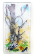 Woodland scene