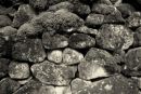 IMG 4981
