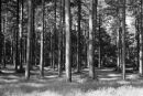 IMG 5193