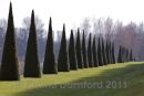 Topiary 