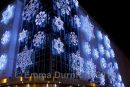 Christmas lights 
