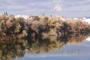Rio Guadalquivir