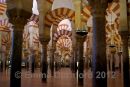 View across the Mezquita main hall