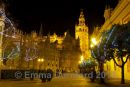 Catedral and Giralda at night
