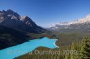 Peyto Lake