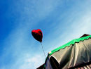 Valentine